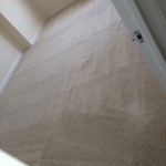 Menlo Park-Carpet-Clean-room