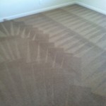 Menlo Park-Carpet-Cleaning-Wall-To-Wall