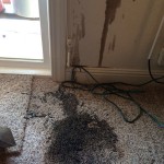 Oil-Stain-Removal-Before-Menlo Park